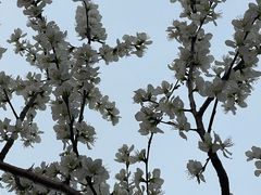 -南开大学(津南校区)