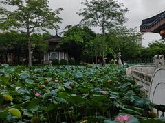 -惠州西湖风景名胜区-丰渚园