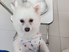 -怪兽屋·羊驼·猫咖·狗咖(俊华广场店)