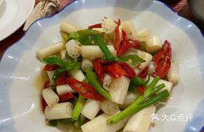 Lotus Root Tip