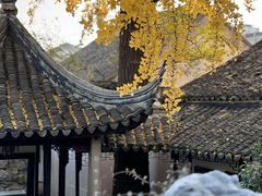 -雅戈尔富宫大酒店(观前街店)