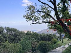 -海上云台山景区