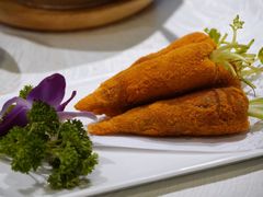-丁老爷子苏香圆