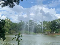 -中国科学院西双版纳热带植物园