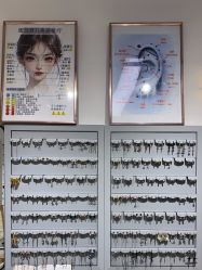 -AI艾耳·专业手工耳洞·穿孔美学馆