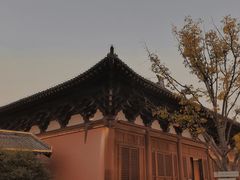 -祥源·阜阳生态乐园