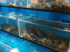 -盒马鲜生(曜一城店)