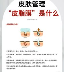 点击看大图 -玛莲朵·海菲秀冰珀科