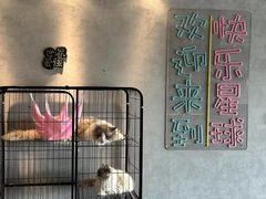 -笨猪青年旅舍(西乡地铁站店)