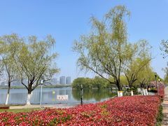 -天鹅湖体育公园