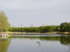 -大兴滨河森林公园