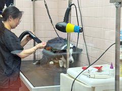 -FAELING PETS美天灵宠物(富力广场店)
