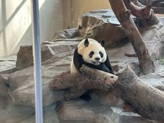-宁波野生动物园
