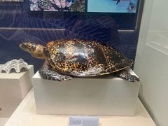 -上海中国航海博物馆