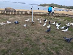 -瑶湖郊野森林公园