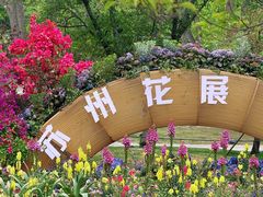 -苏州上方山国家森林公园