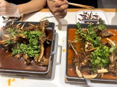-杨氏青龙虾·羊蝎子(托乐嘉店)