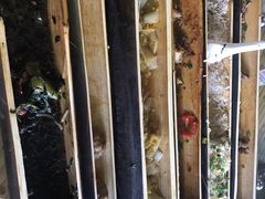 -丰依竹食·老牌竹筒饭