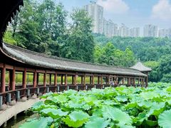 -龙头寺公园