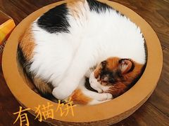 -天津前进宠物医院(前进道店)