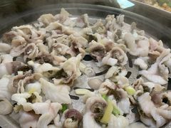 -港升鱼师傅·中山脆肉鲩