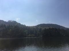 -庐山风景区花径公园