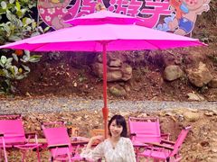 -南海湾森林生态园