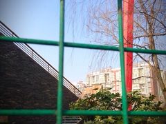 upload_pic-新江湾城公园