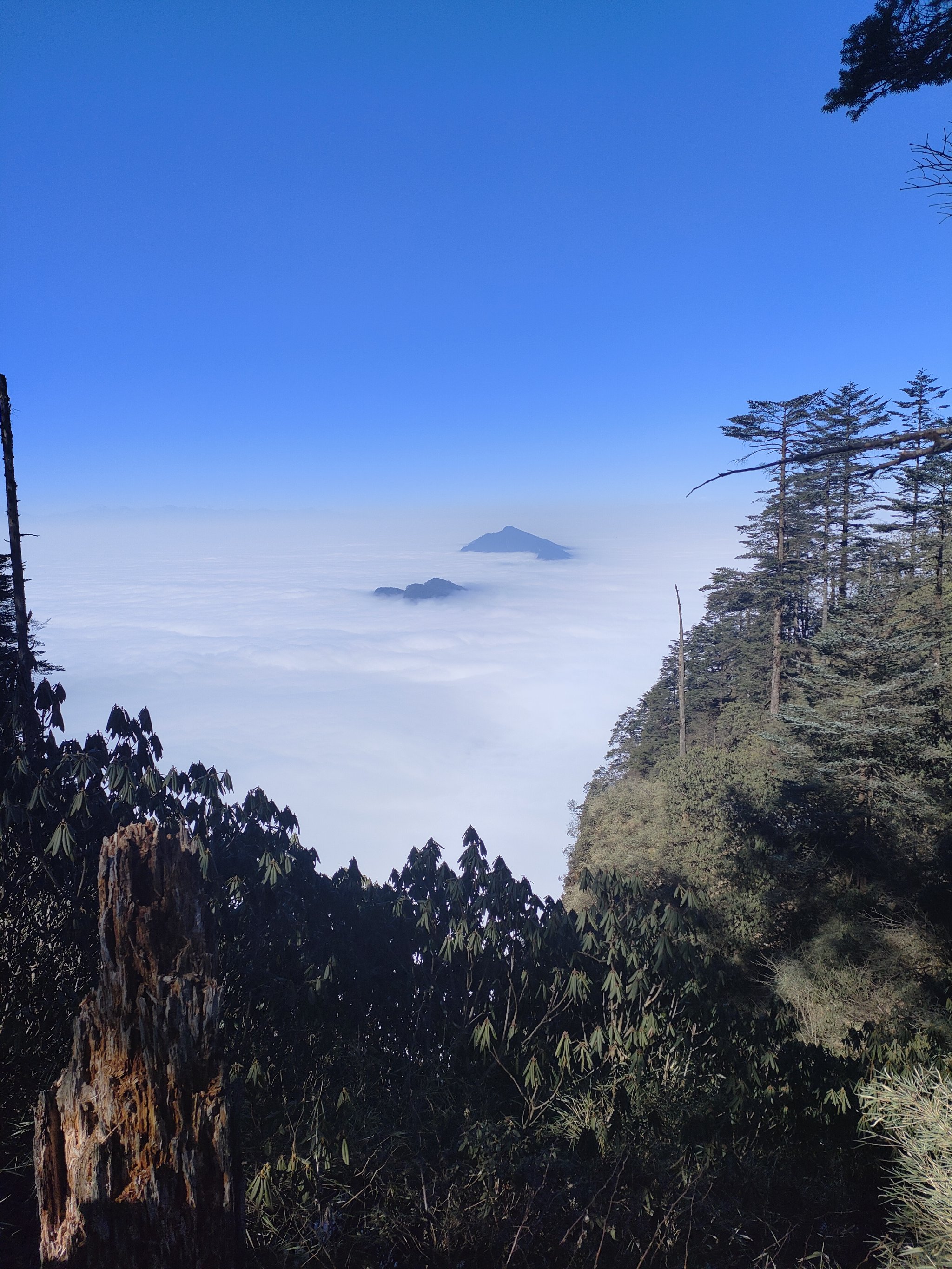 瓦屋山山顶图片图片