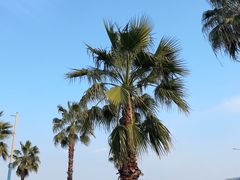 -东钱湖旅游度假区