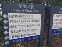 -大埔公路-马料水段香港中文大学(公交站)