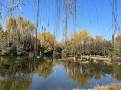 -城市运动公园(未央区)