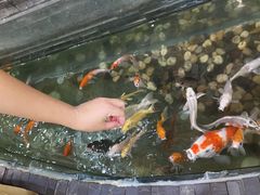 -和乐喜点(宝岗大道店)