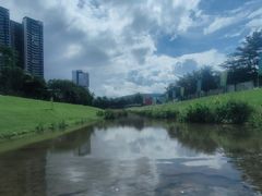 -光明小镇欢乐田园