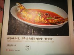 -新疆兵团食府清真(马连道店)
