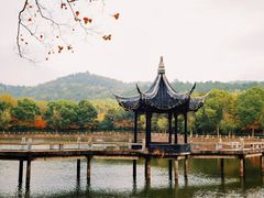 -尚湖风景区