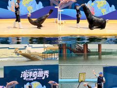 -秦皇岛乐岛海洋王国