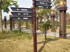 -王借岗森林公园
