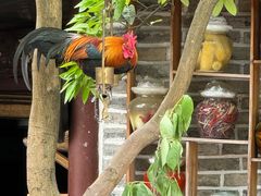 -青城甲(青城山店)