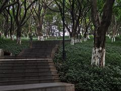 -龙头寺公园