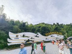 -西双版纳原始森林公园