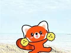 -日照海滨国家森林公园