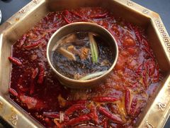 -蜀九香火锅(李家沱店)
