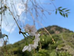 -湘湖金融镇