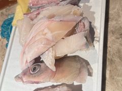 -淘米捞·米汤脆鲩鱼火锅(福田皇岗店)