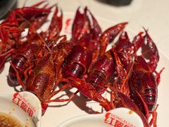 -红盔甲·小龙虾(天钥桥店)
