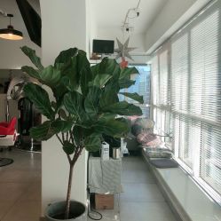 -净漪造型 PURE RIPPLE