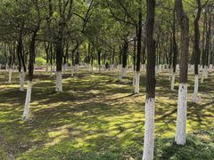-艾溪湖湿地公园