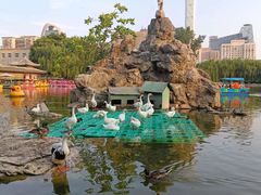 -团结湖公园
