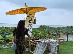 -七的湖·晚芳亭·阳澄湖农家菜·大闸蟹(莲花岛店)